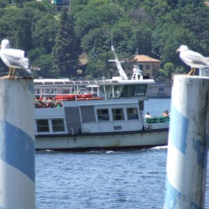 Da Como a Bellagio con il Battello della Navigazione