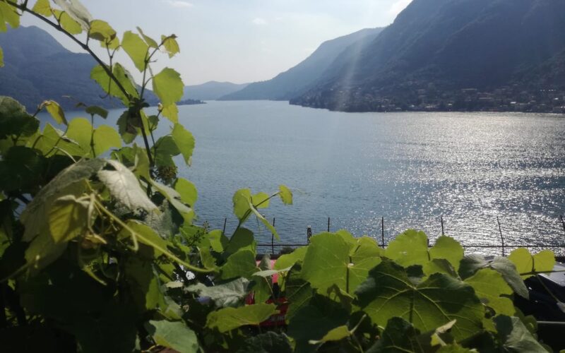 Pognana – Appartamento Panorama